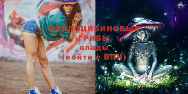 кокс Бородино