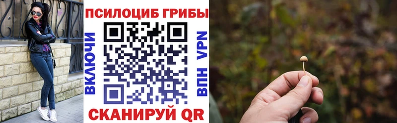Псилоцибиновые грибы Psilocybe  Ярославль 